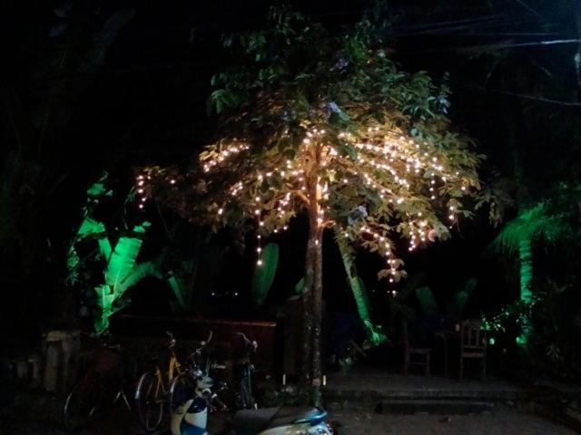 Riverside Guesthouse Luang Prabang Exterior foto